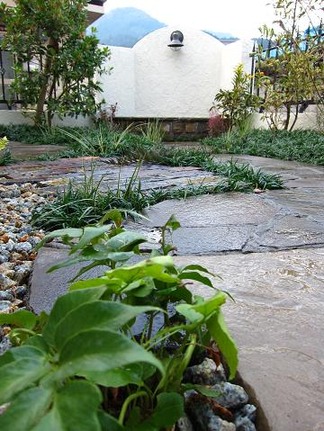 �������į���