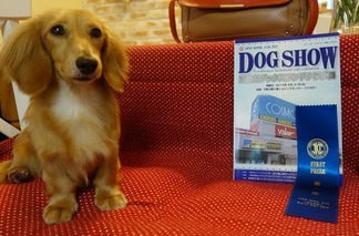 �ɥå����硼