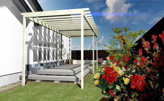 �ѡ�����