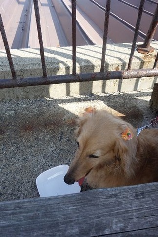水分補給
