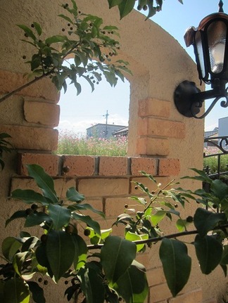 ���襴�θ������˾����