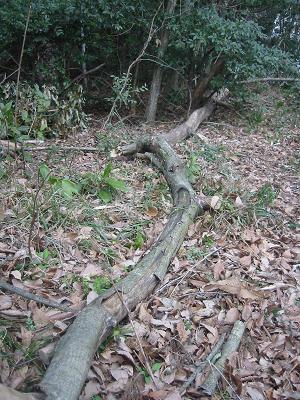 ���ڡ���