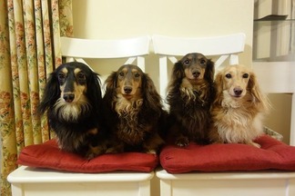 ���å����ե��