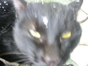 ��ǭ���å�