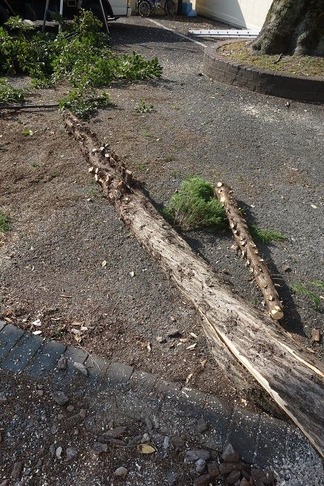 ������ɥ��쥹��