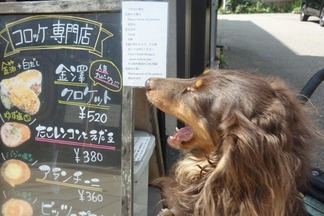 金澤クロケット