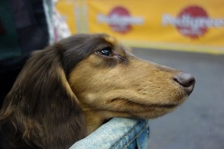 ����줵��