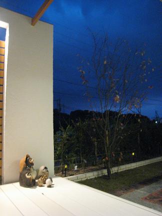 �����������뤫��į�᤿����