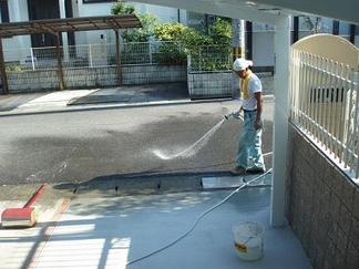 ƻϩ������