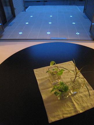 ������Ž��Υƥ饹