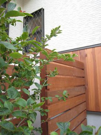 �͹��ڤ�ŷ���ڤ�ͻ��