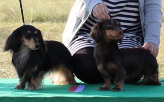 �ġ�����å�