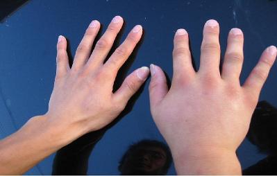 �ɥ饨���μ�