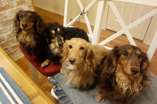 ���å����ե��