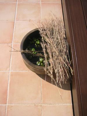 �ӥ��ȡ���