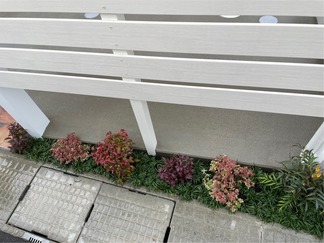 ����ե����å�