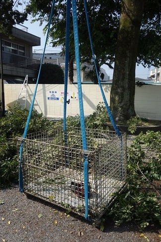 ���ѥ���