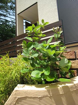 �ե��å�����