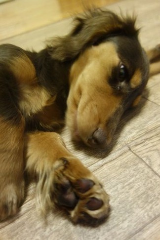 ¥é¥à¡¦¡¦¡¦Ì²¤¤