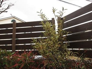 ���ۺ����