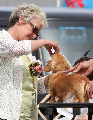 �롼������