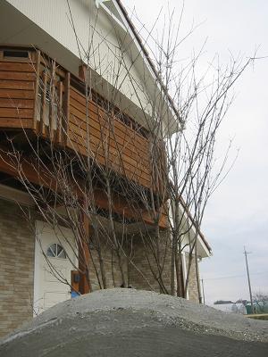 ��ޥܥ����γ�Ω��