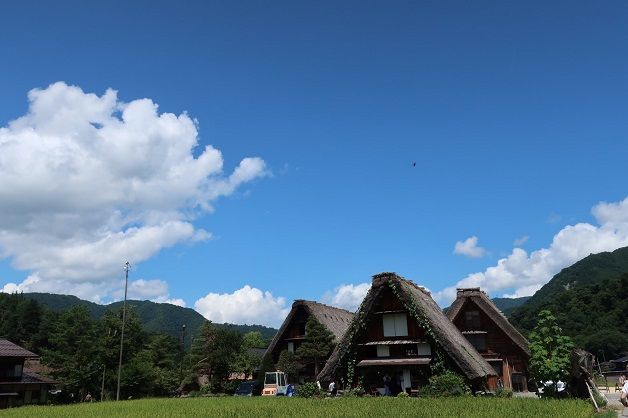 日本三大秘境 世界遺産 白川郷 ガーデニング工房 風我里 滋賀から発信 日本三大秘境 世界遺産 白川郷 ガーデニング工房 風我里 滋賀から発信
