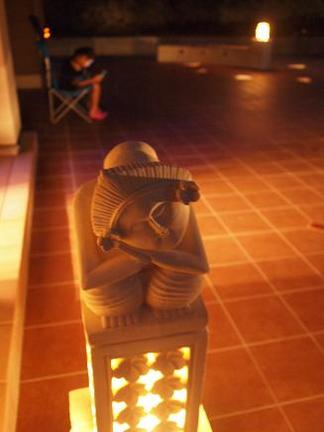 �ץ�ӥƥ���