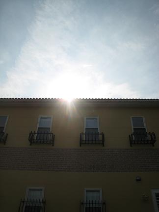 �פ��֤������