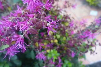 �ȥ���ޥ󥵥�