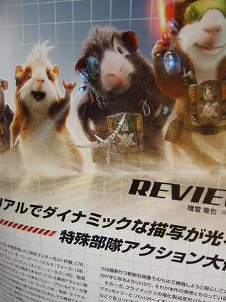 ���ѥ������˥ޥ�֣ǥե�������