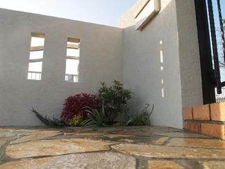 �����Ƥο�ʪ����