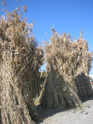 ������줿�襷