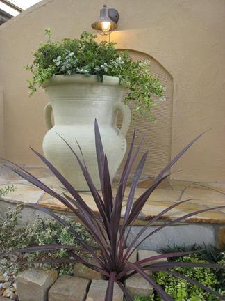 ����ǥ���͡����ȥ��ץ�ץ쥢