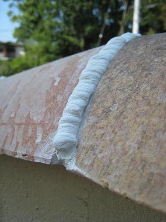 �ե�󥹻����δ�