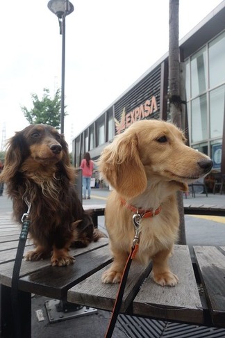 �����ȥɥ饤��