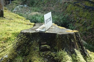 京都大原三千院