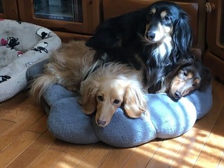 ���å����ե��