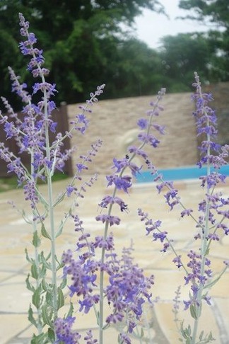 �������󥻡���