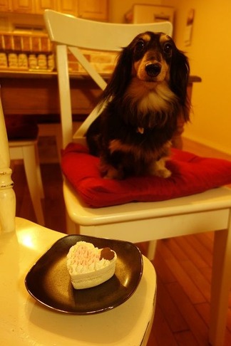 ���å����ե�ɣ�ɤ