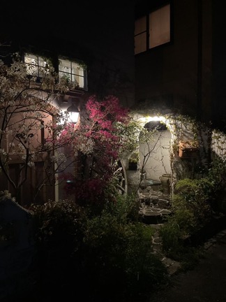 �֤�������