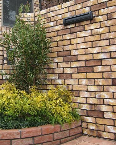 �ե���ե��饪���쥢