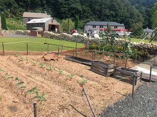 ひつじのショーン