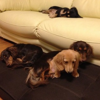 ���å�����Ƭ