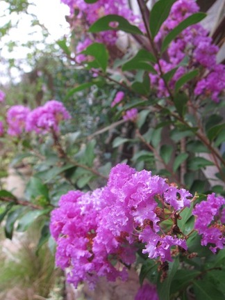 ���ޡ������ޡ�