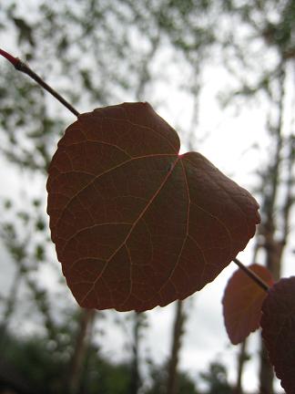 ���Ť������ĥ���դä�