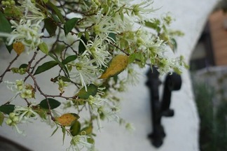 �ȥ���ޥ󥵥�