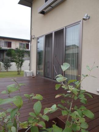 ���ں���ͤΥ��åɥǥå�