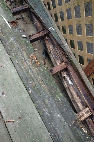 ���åɥǥå�����