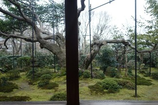 宝泉院